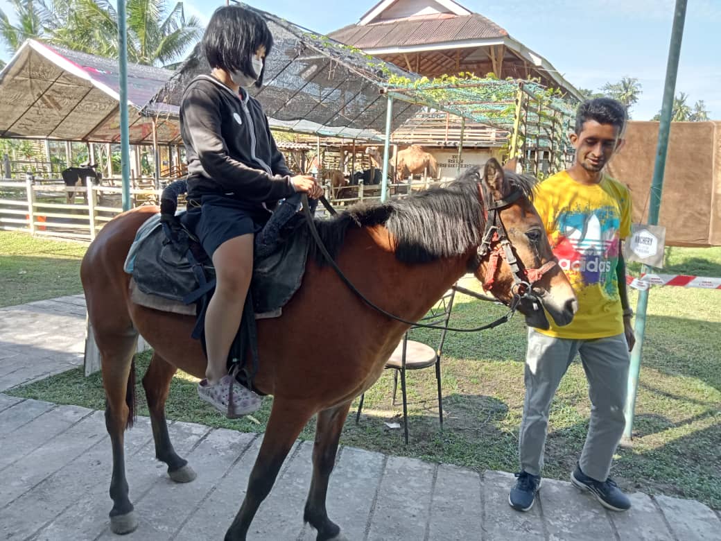 A child on a guided pony ride
