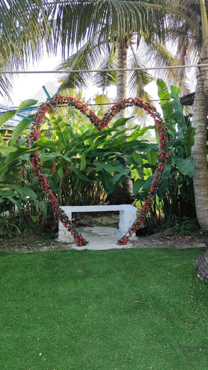 A heart-shaped garden feature beneath palm trees at Audi Dream Farm